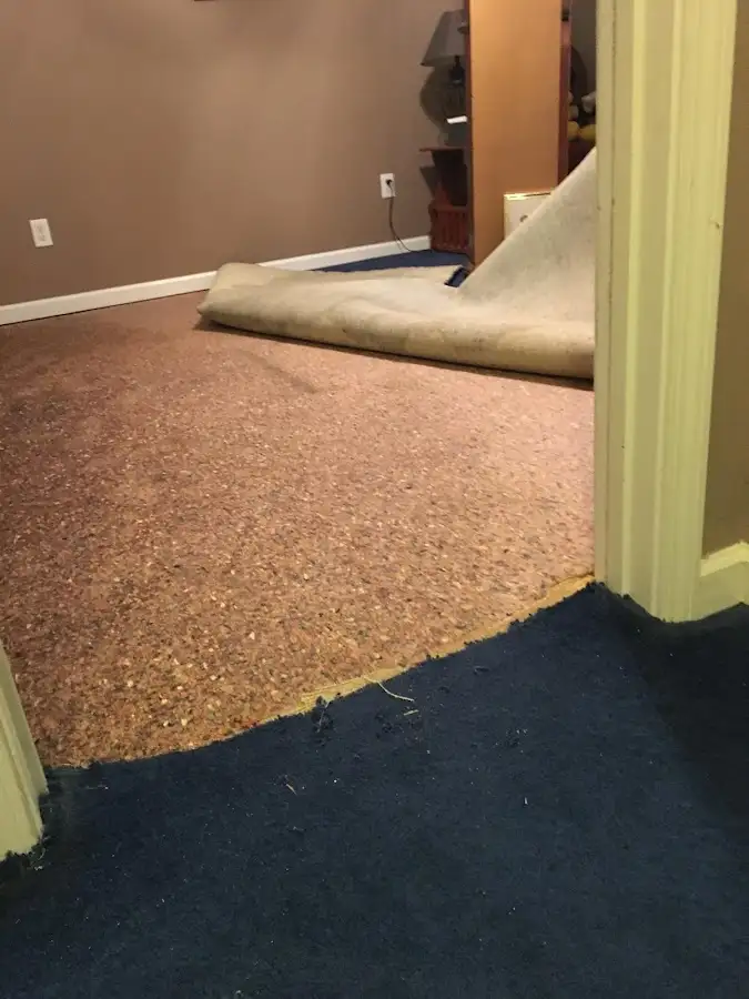 Carpet pad removal revealing water damage during Water Mitigation Services in Harvard